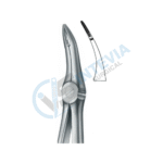 Extracting Forceps