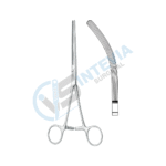 Stomach, Intestine Rectum