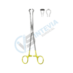 Stomach, Intestine Rectum