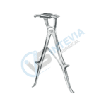 Artery Cardiovascular