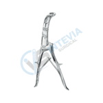 Artery Cardiovascular