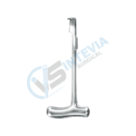 Artery Cardiovascular