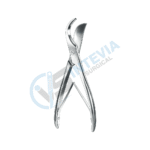 Artery Cardiovascular