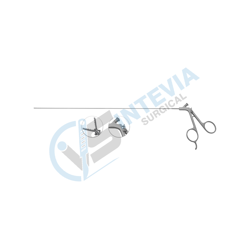 Urology Forceps