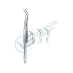 Oral Instruments